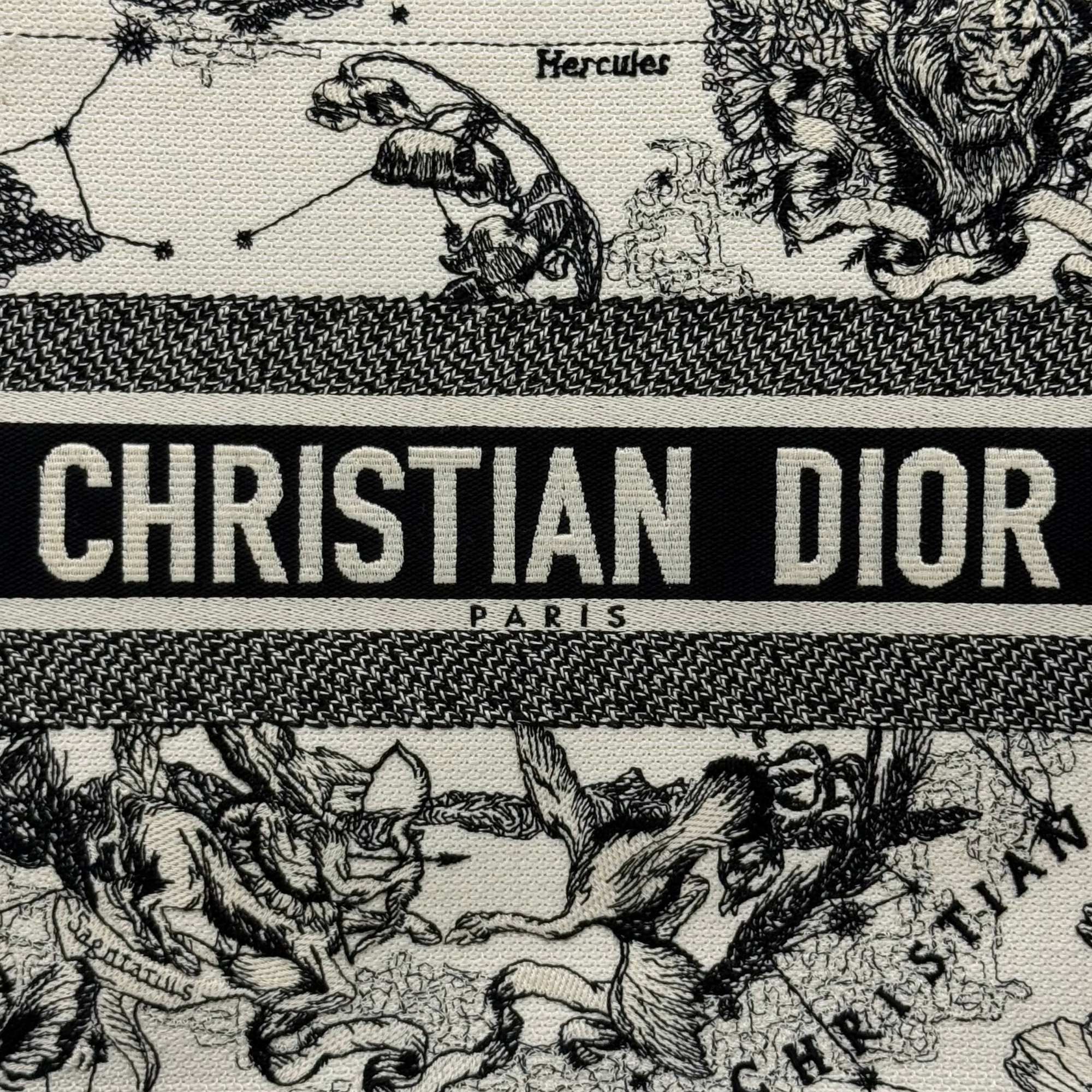 Dior tote bag with lion-engraving print and CHRISTIAN DIOR PARIS band