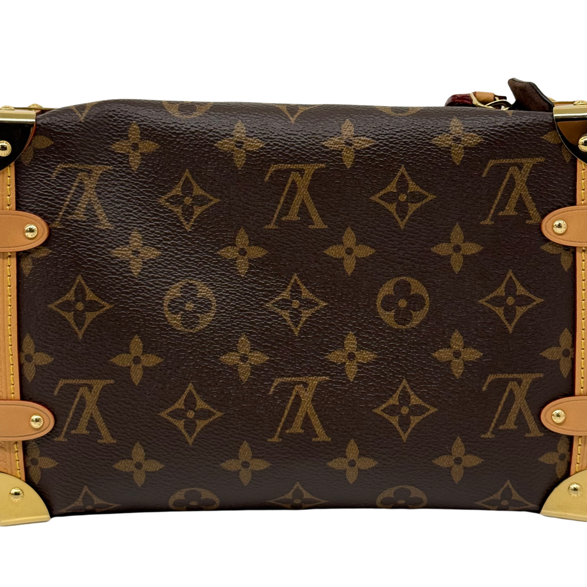 Louis Vuitton monogram mini bag front panel with repeating pattern and tan leather edge trim