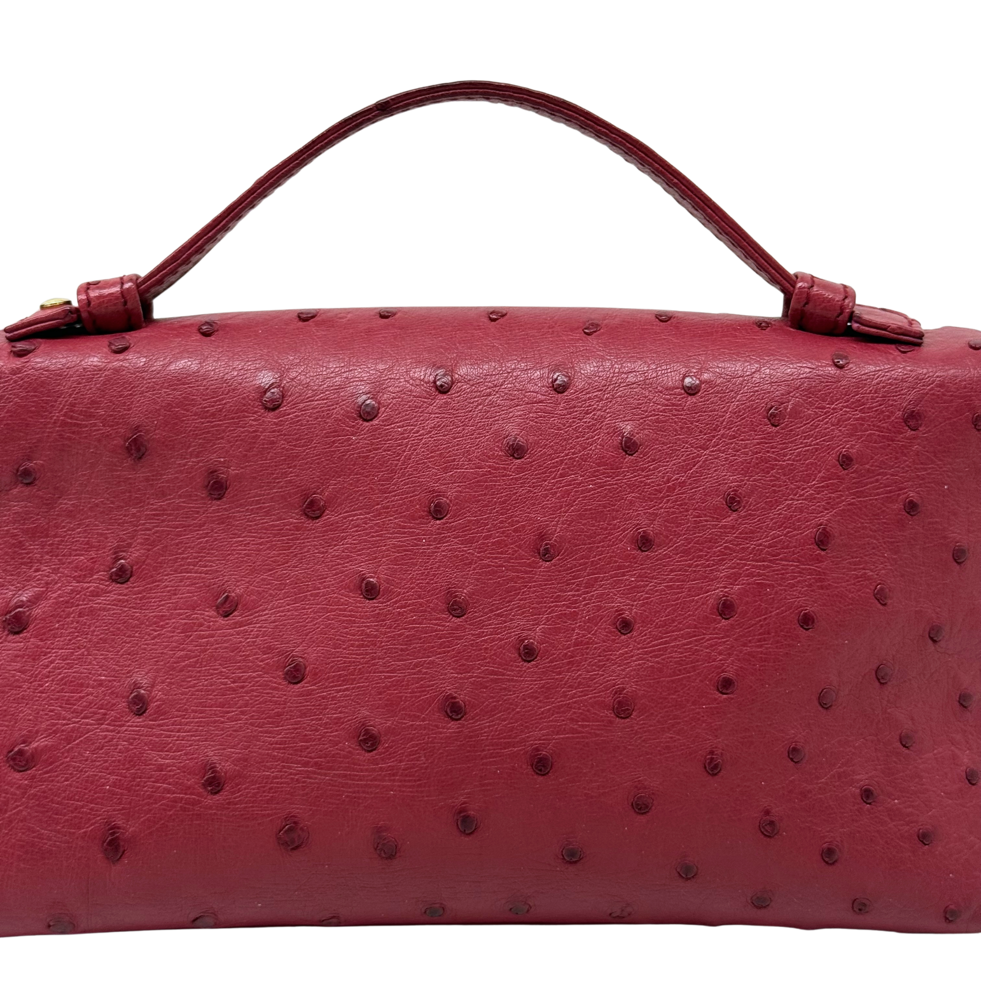 Loro Piana Light Pomegranate Ostrich L19 Pouch (pre-owned)