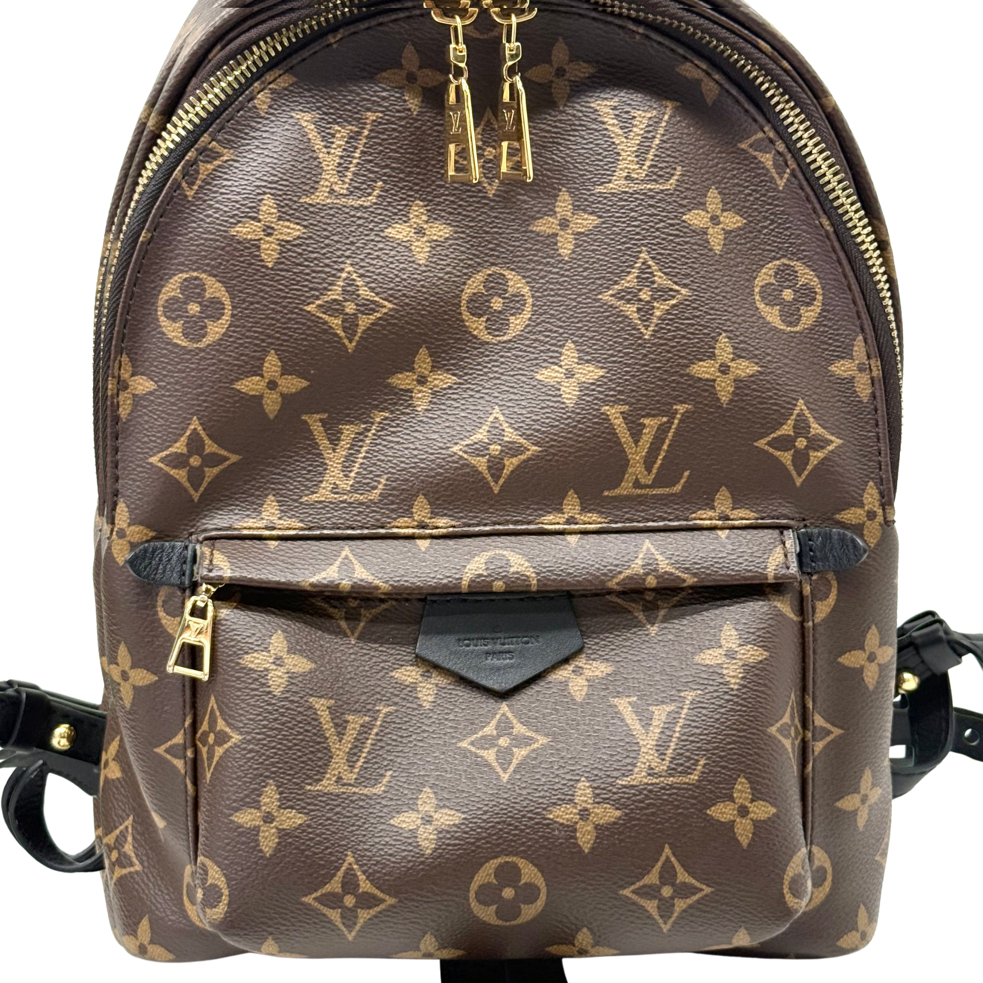 Louis Vuitton Palm Springs PM Brown Monogram Canvas Backpack Bag (pre-owned)