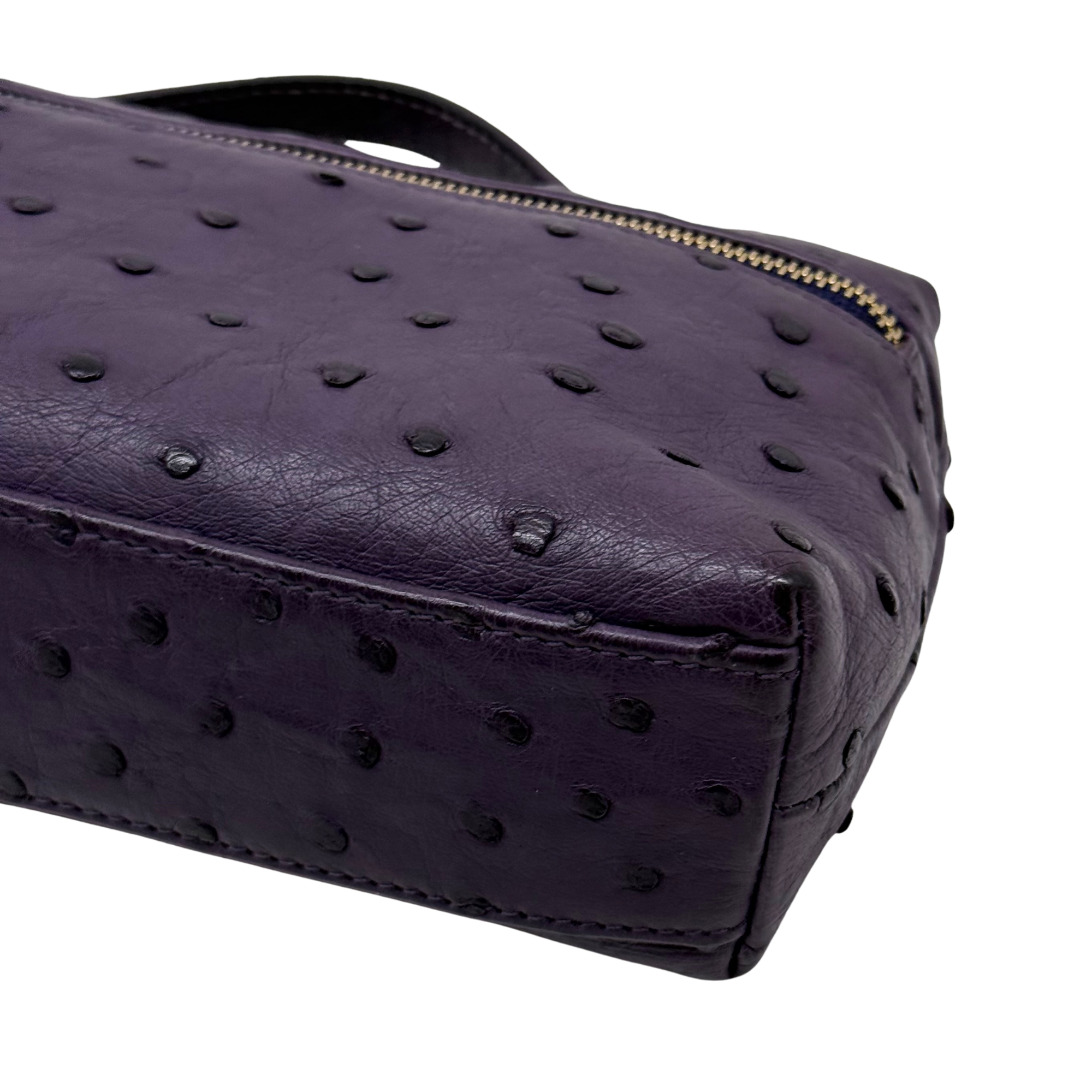 Loro Piana Violet Ostrich L19 Pouch (pre-owned)