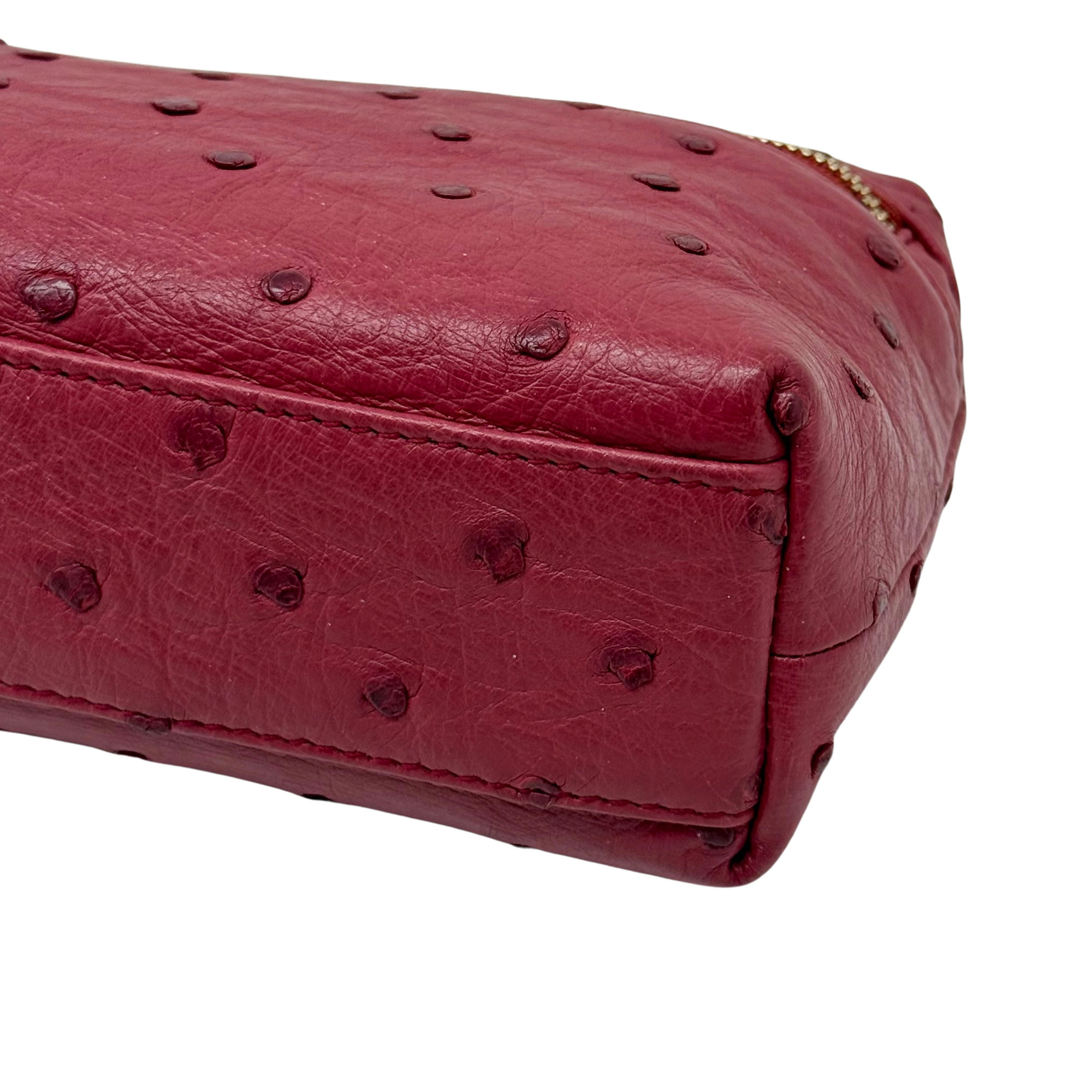 Loro Piana Light Pomegranate Ostrich L19 Pouch (pre-owned)