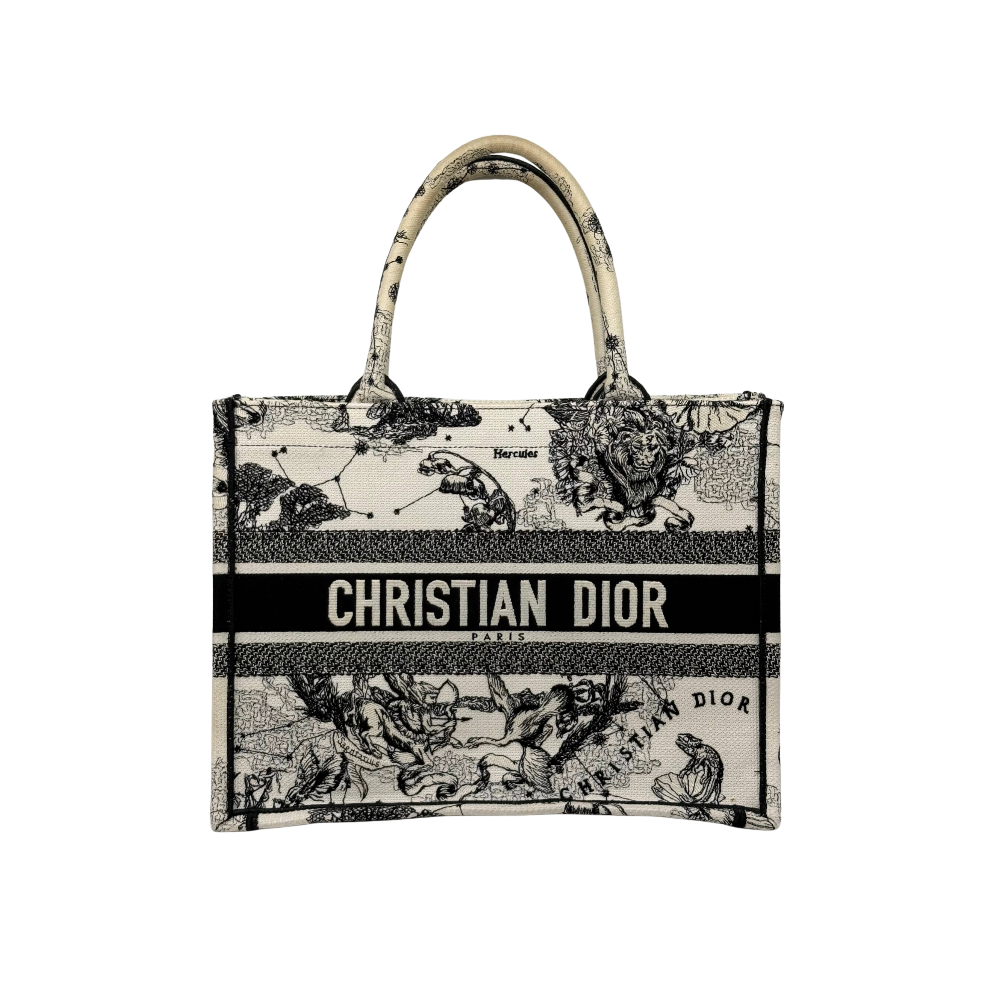 Dior canvas tote bag with top handles and lion-and-map print, CHRISTIAN DIOR band