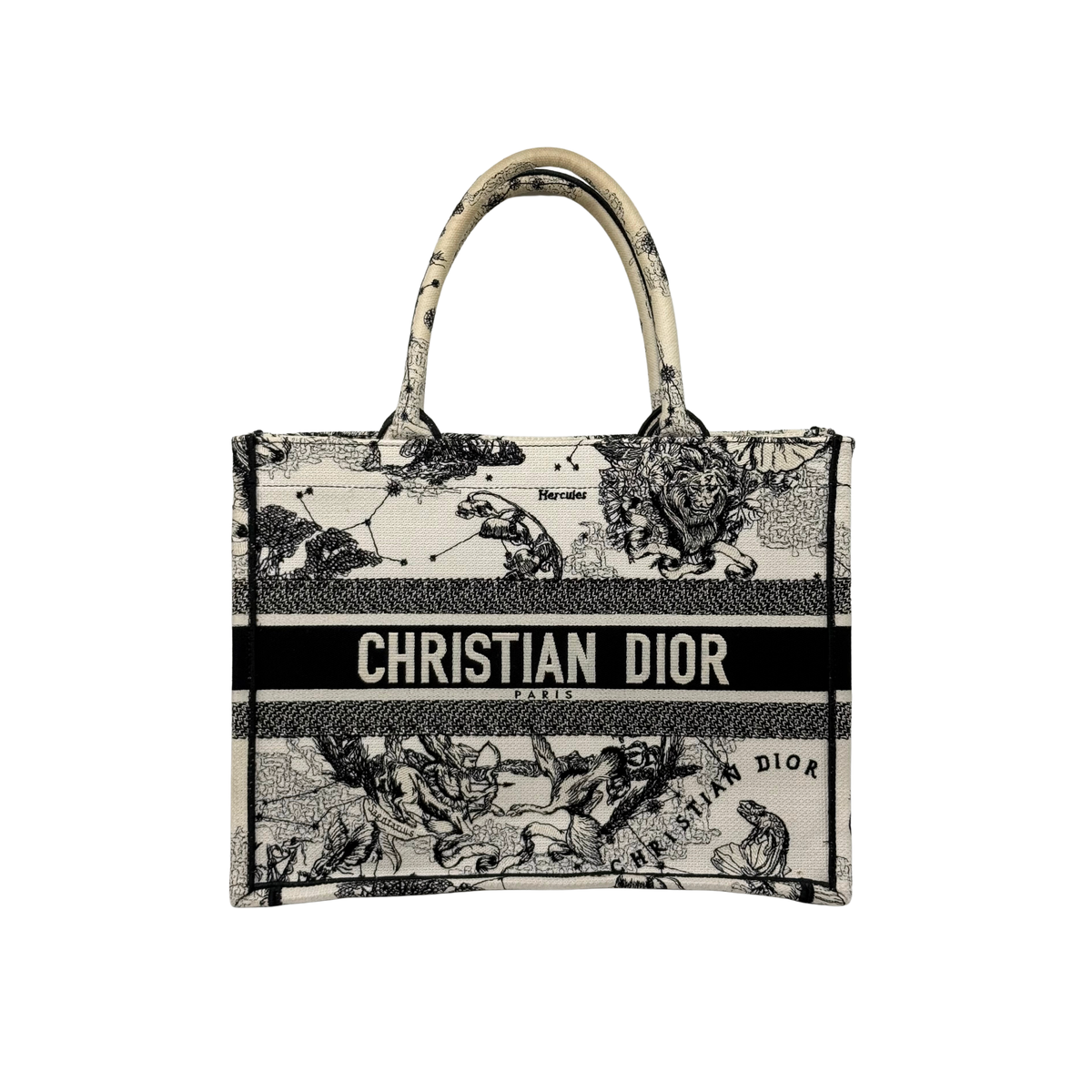 Dior canvas tote bag with top handles and lion-and-map print, CHRISTIAN DIOR band