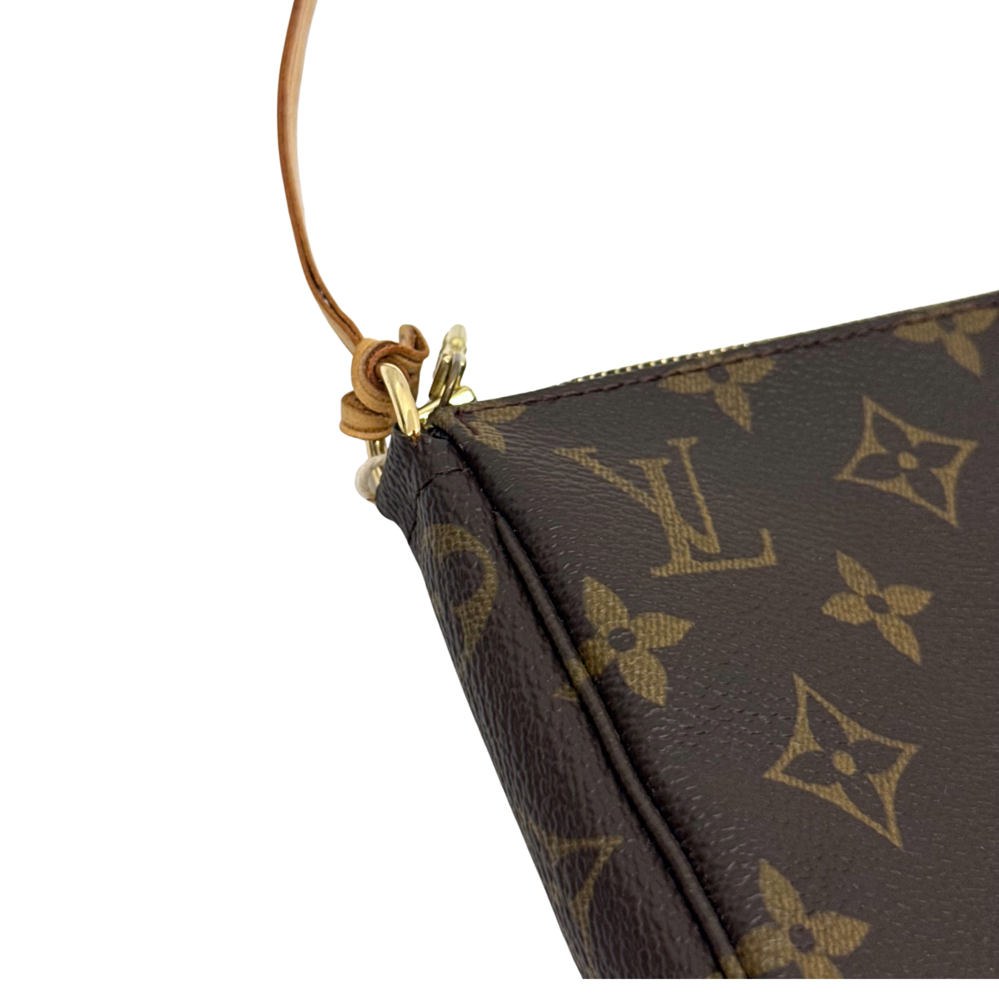 Louis Vuitton Pochette Accessoires handbag (pre-owned)
