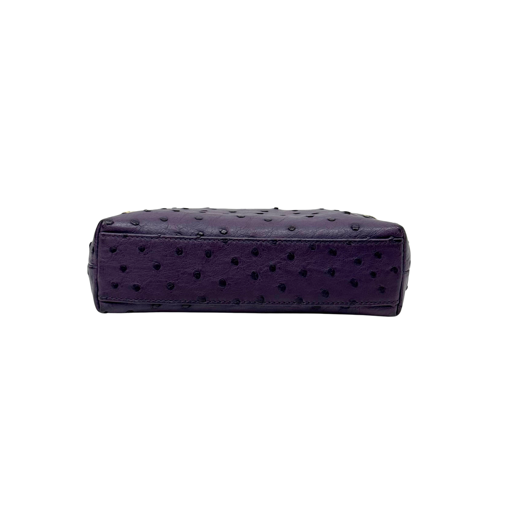 Loro Piana Violet Ostrich L19 Pouch (pre-owned)