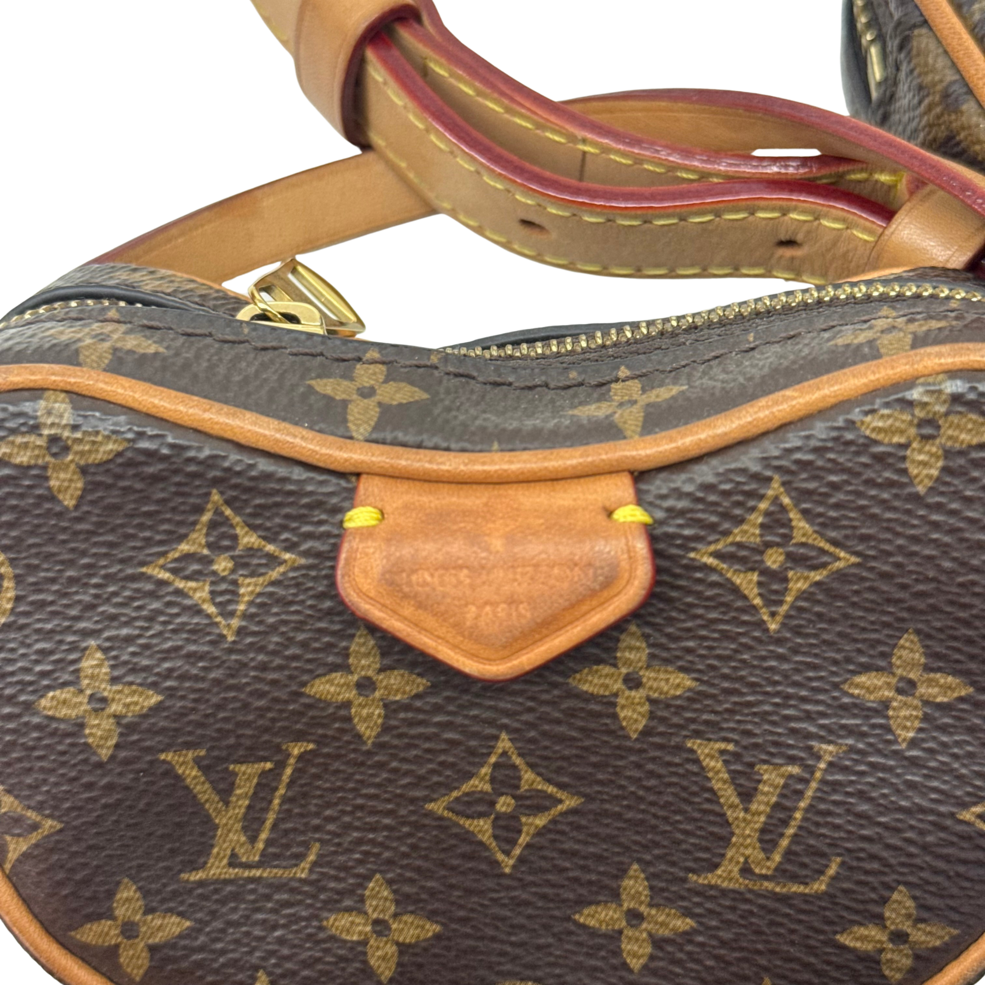 Louis Vuitton Monogram Croissant MM shoulder bag (pre-owned)