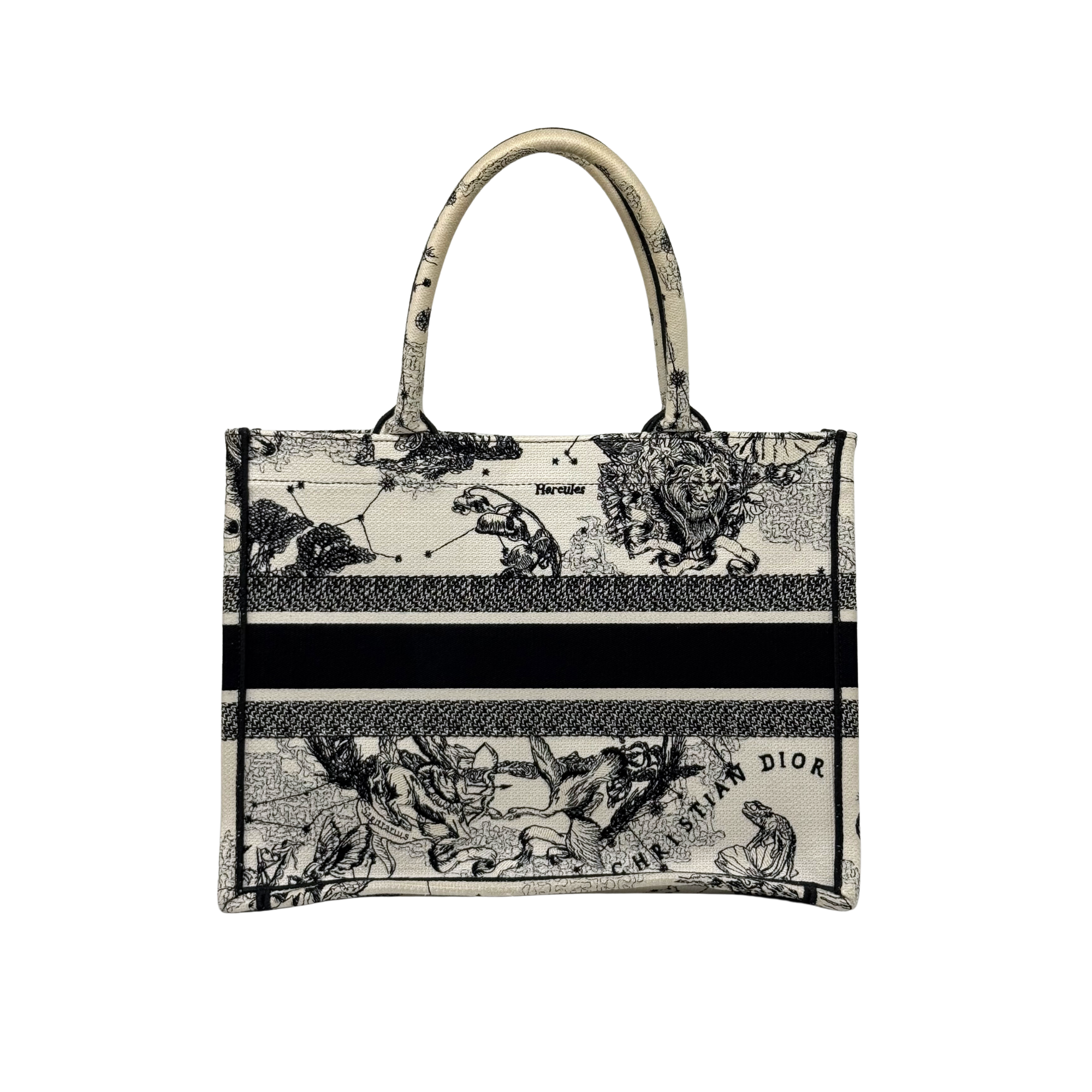Dior canvas tote bag front view with black stripe and illustrated panel print