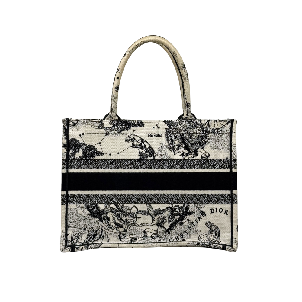 Dior canvas tote bag front view with black stripe and illustrated panel print