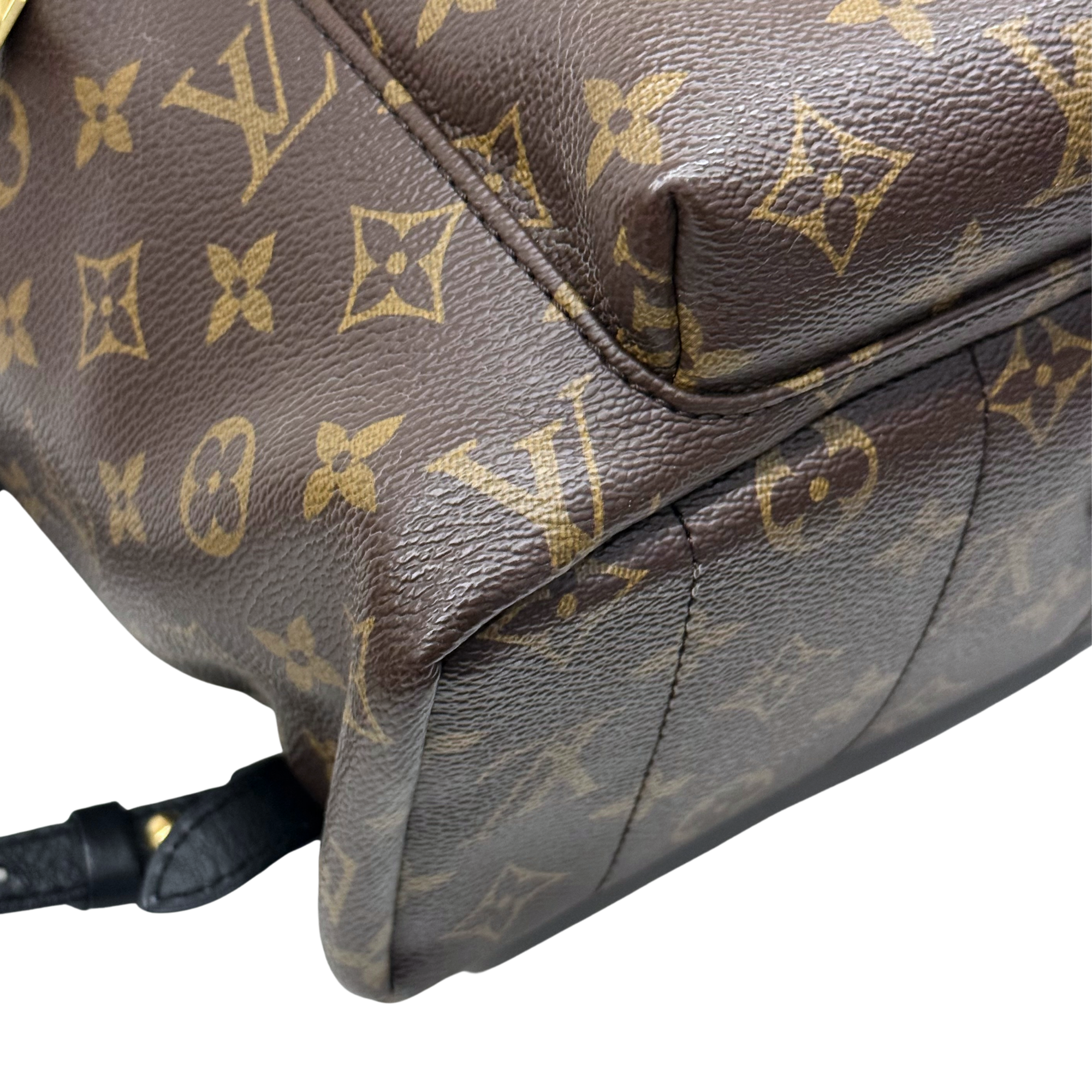 Louis Vuitton Palm Springs MM Monogram Canvas Brown Backpack Bag (pre-owned)