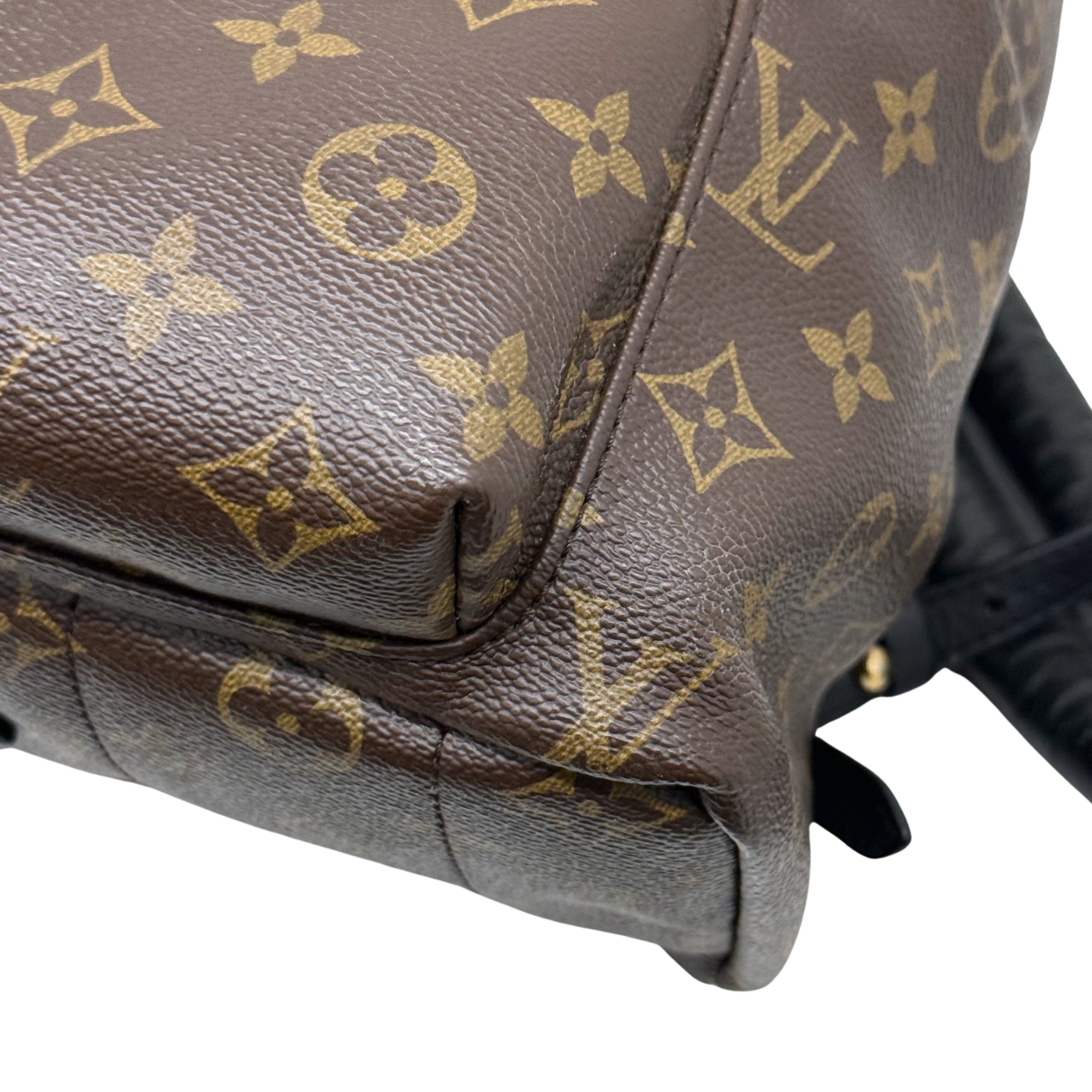 Louis Vuitton Palm Springs MM Monogram Canvas Brown Backpack Bag (pre-owned)