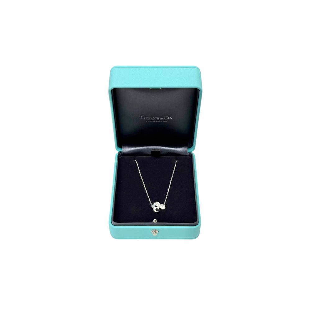 Tiffany & Co. necklace with silver-tone chain and clover gemstone pendant in opened gift box