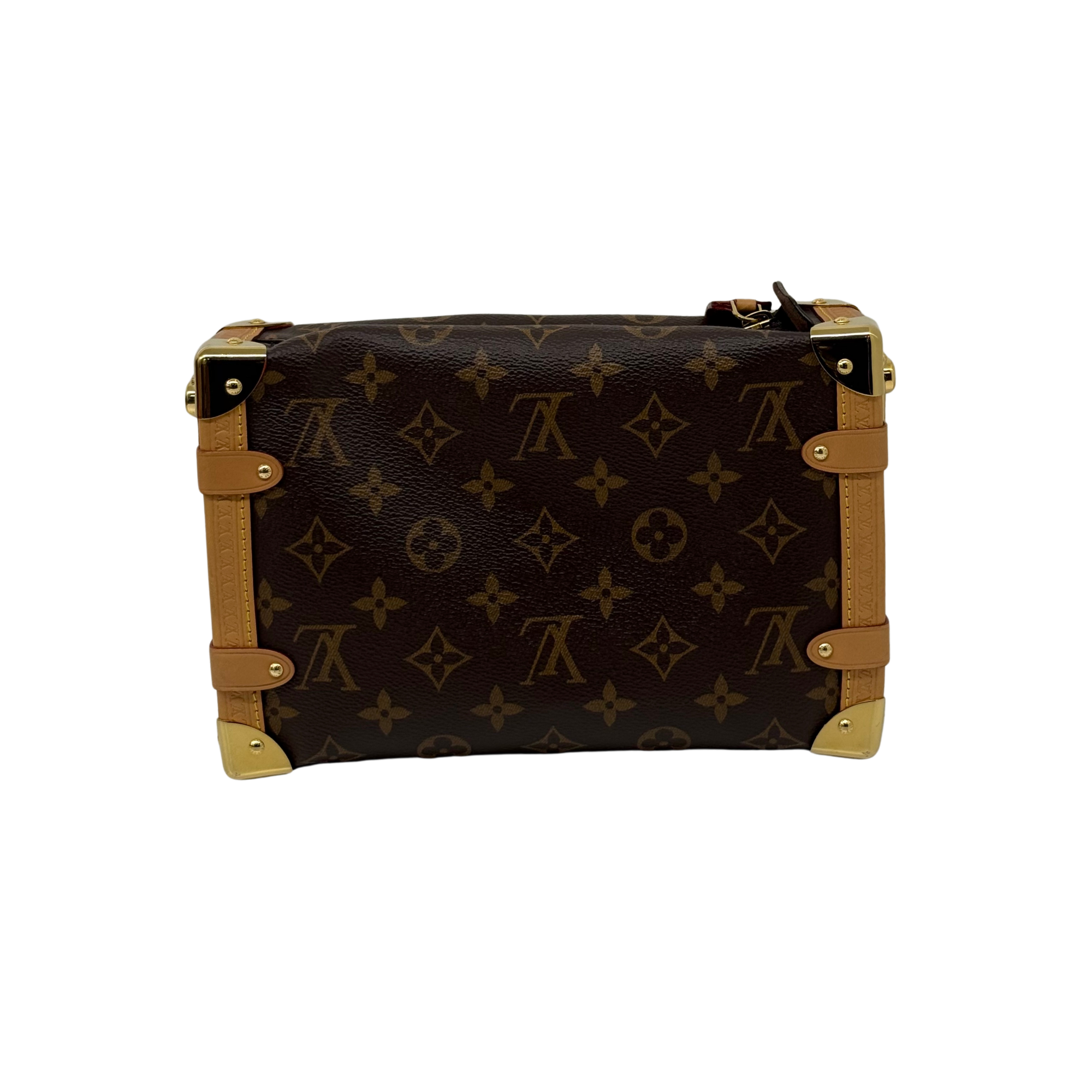Louis Vuitton monogram mini bag with structured silhouette, tan trim, and gold-tone side hardware