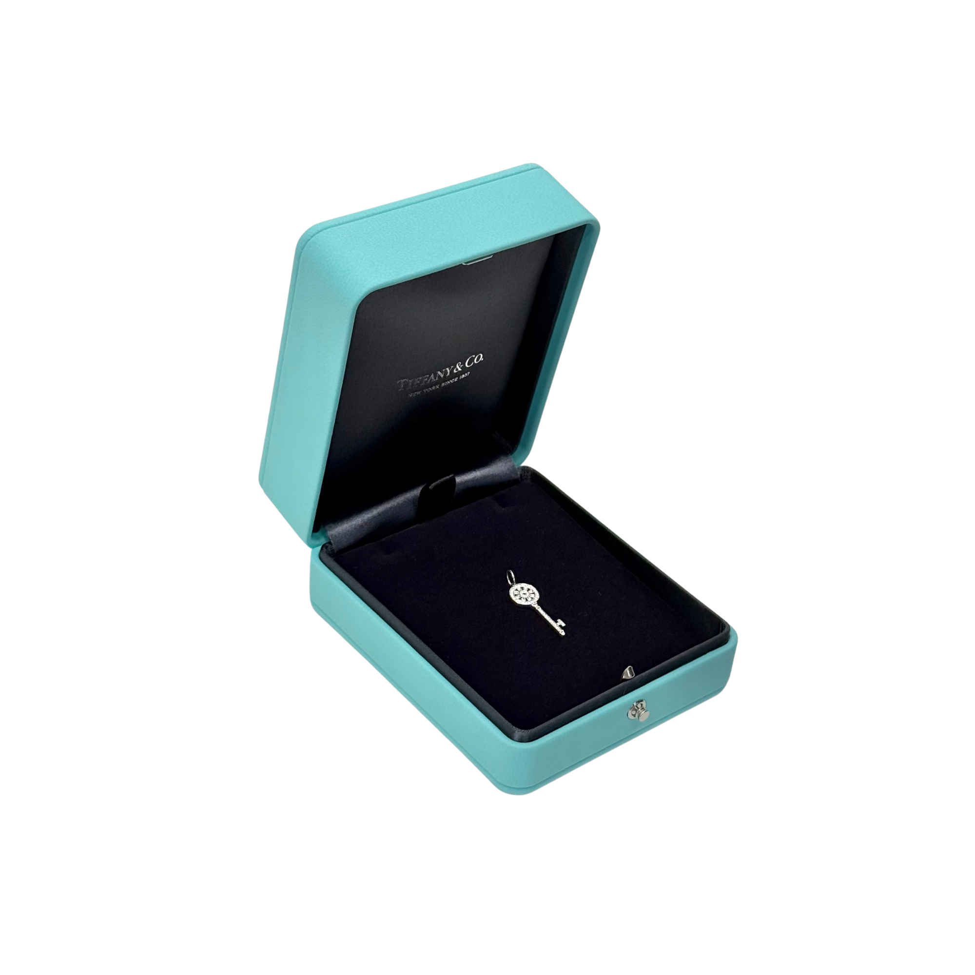 Tiffany & Co. Petals Key Diamond Platinum Pendant 18k White Gold (brand new)