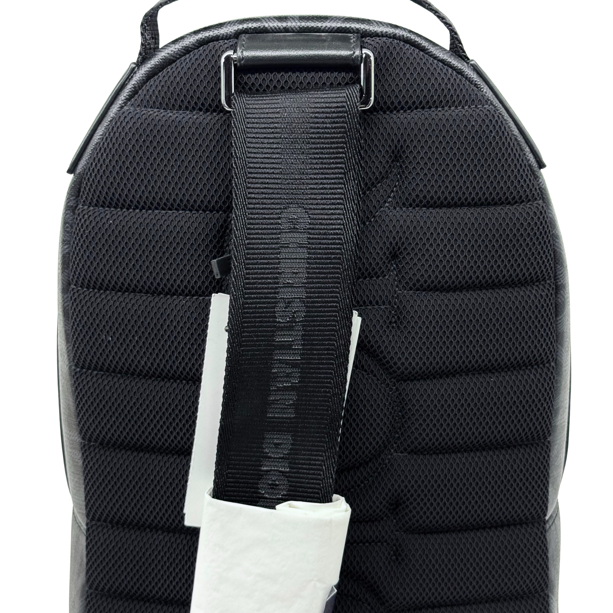 Dior mini Rider backpack black (brand new)