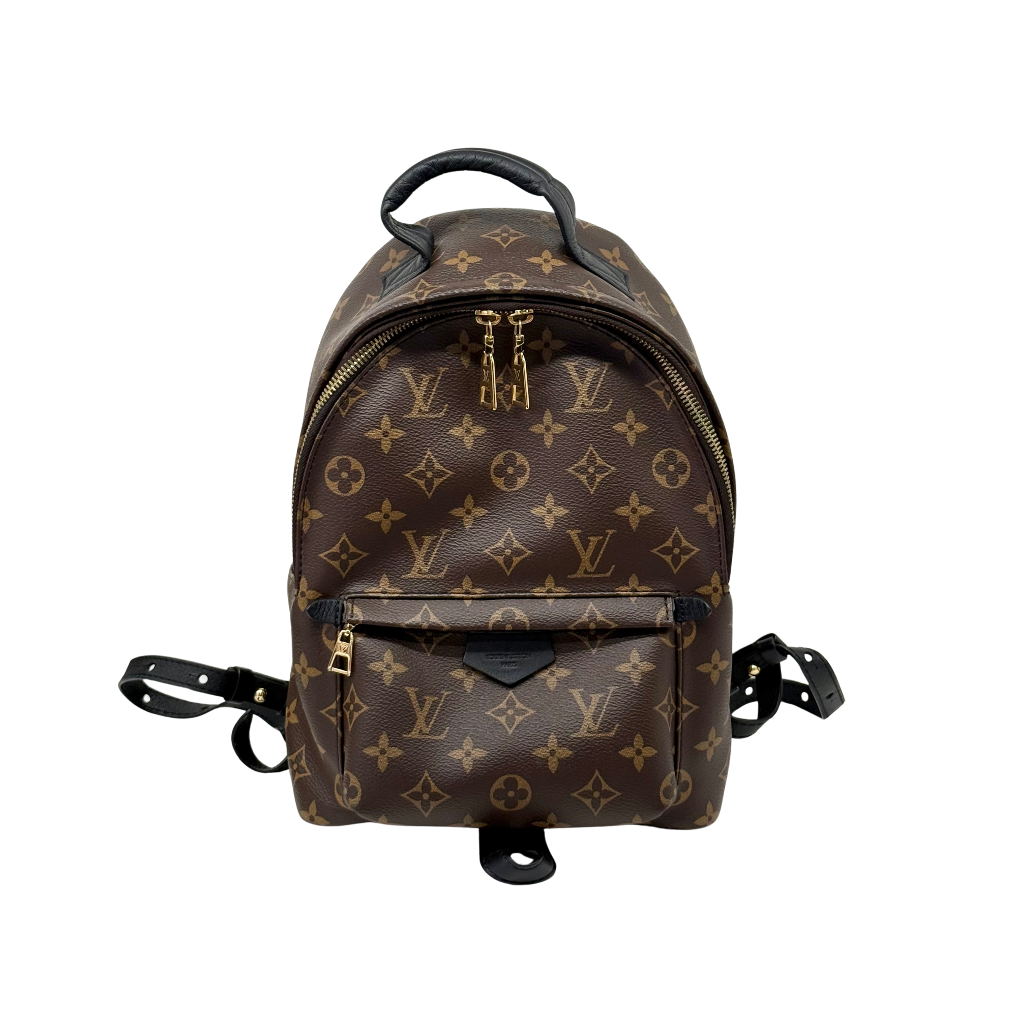 Louis Vuitton Palm Springs PM Brown Monogram Canvas Backpack Bag (pre-owned)