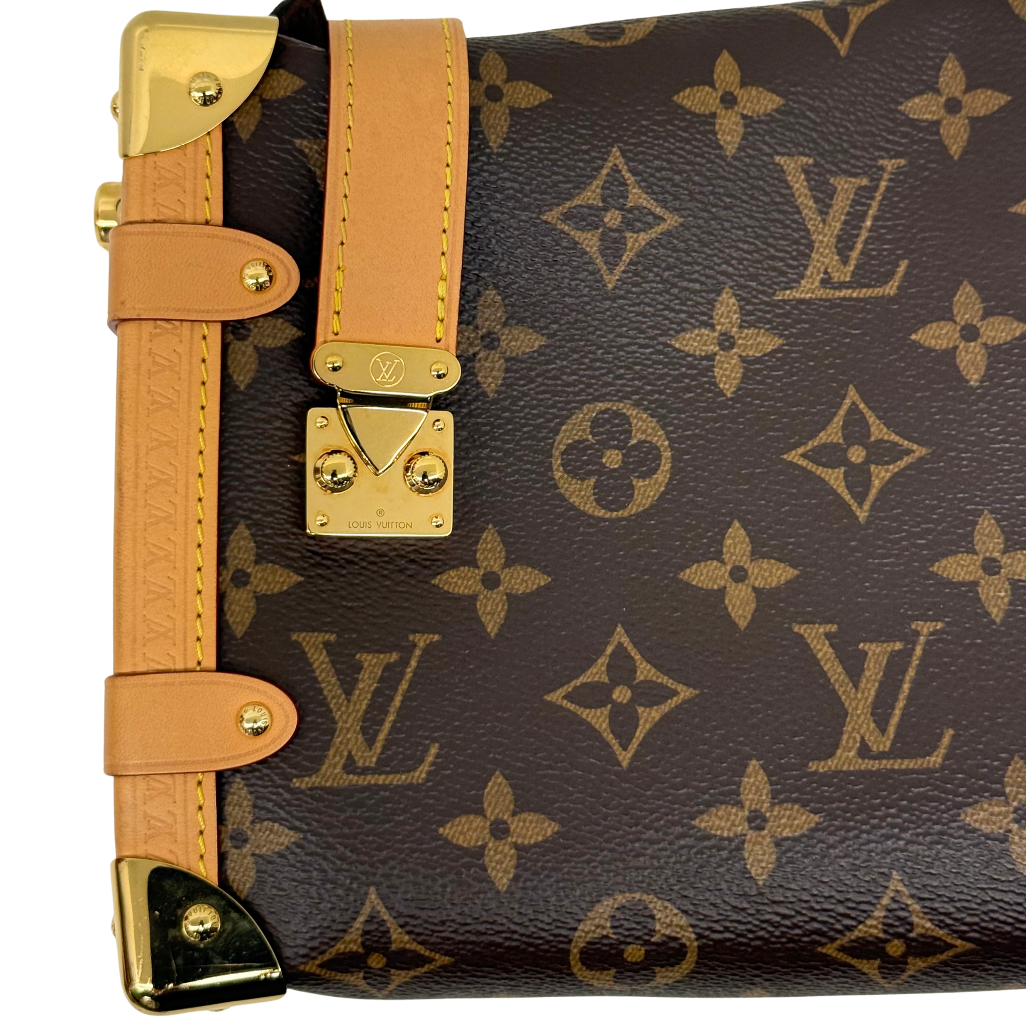 Louis Vuitton monogram mini bag close-up with tan strap, gold buckles and front hardware