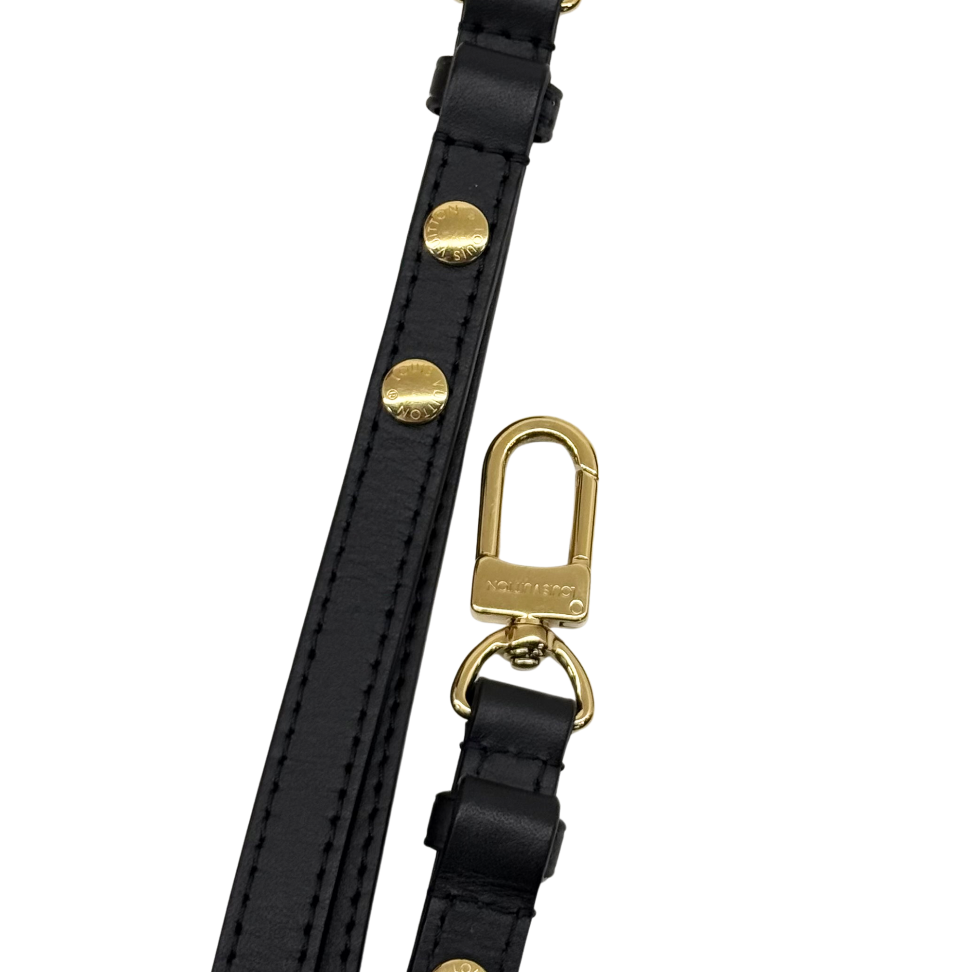 Black leather strap with gold buckle and round logo hardware