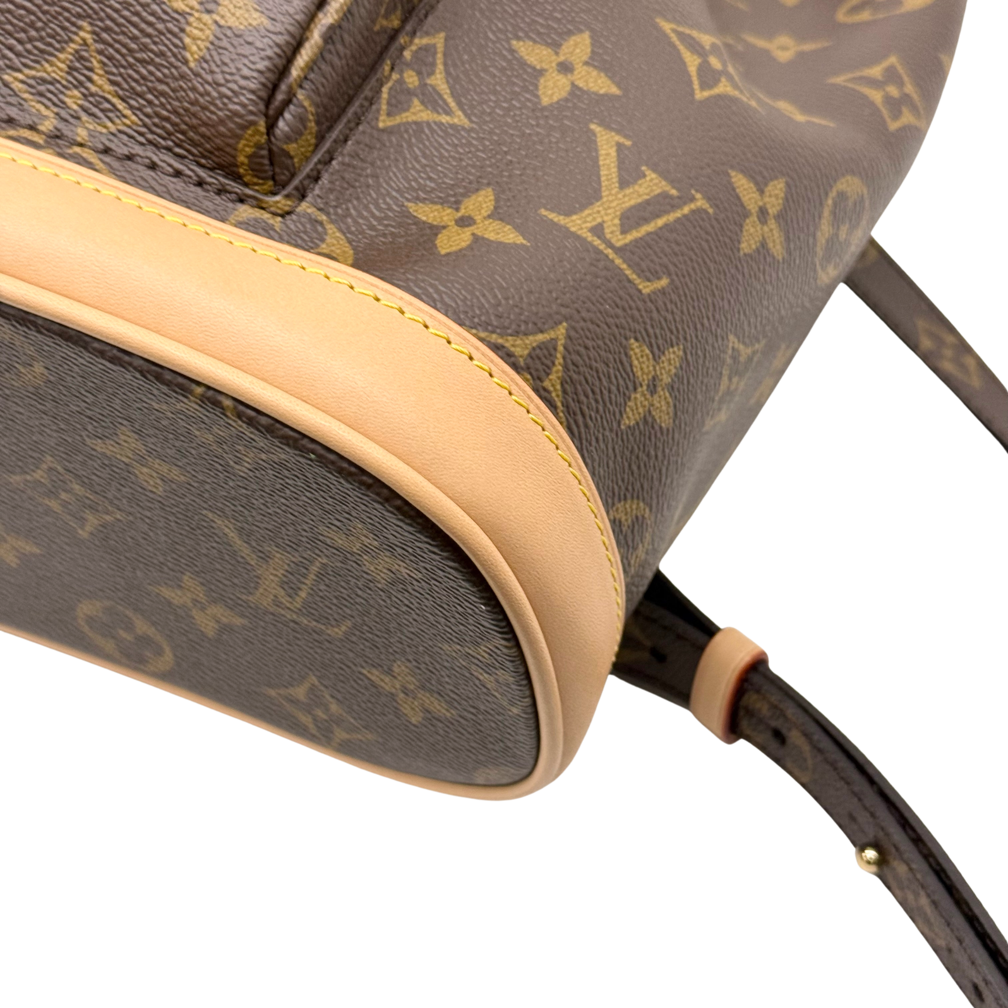 Louis Vuitton Monogram Montsouris PM Backpack (pre-owned)