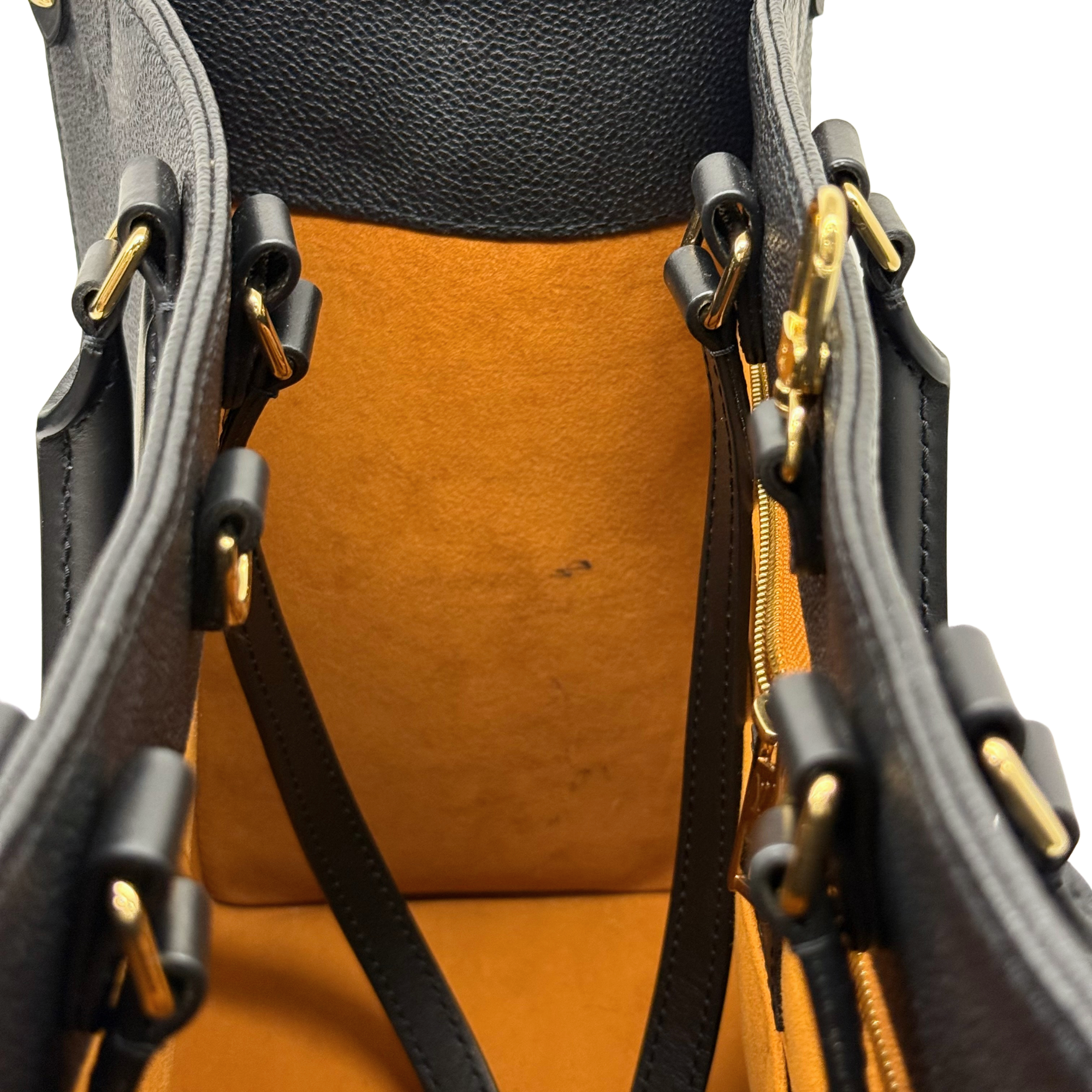 Louis Vuitton tote bag interior view with black straps, tan lining, and zipper hardware