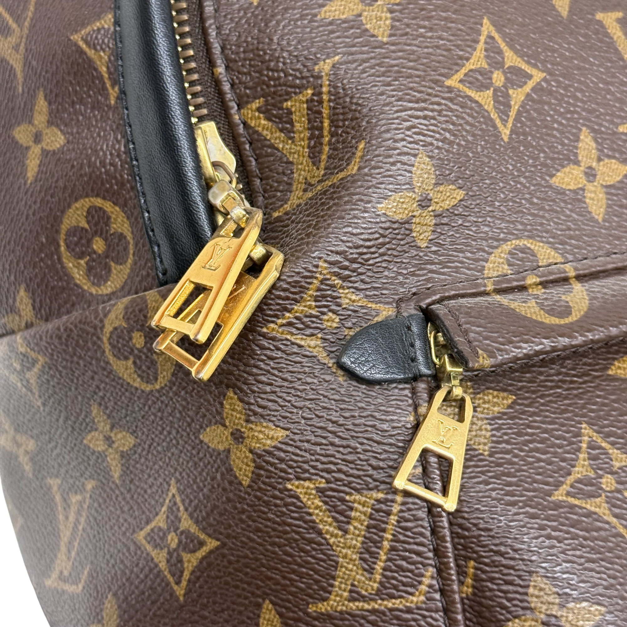 Louis Vuitton Palm Springs MM Monogram Canvas Brown Backpack Bag (pre-owned)
