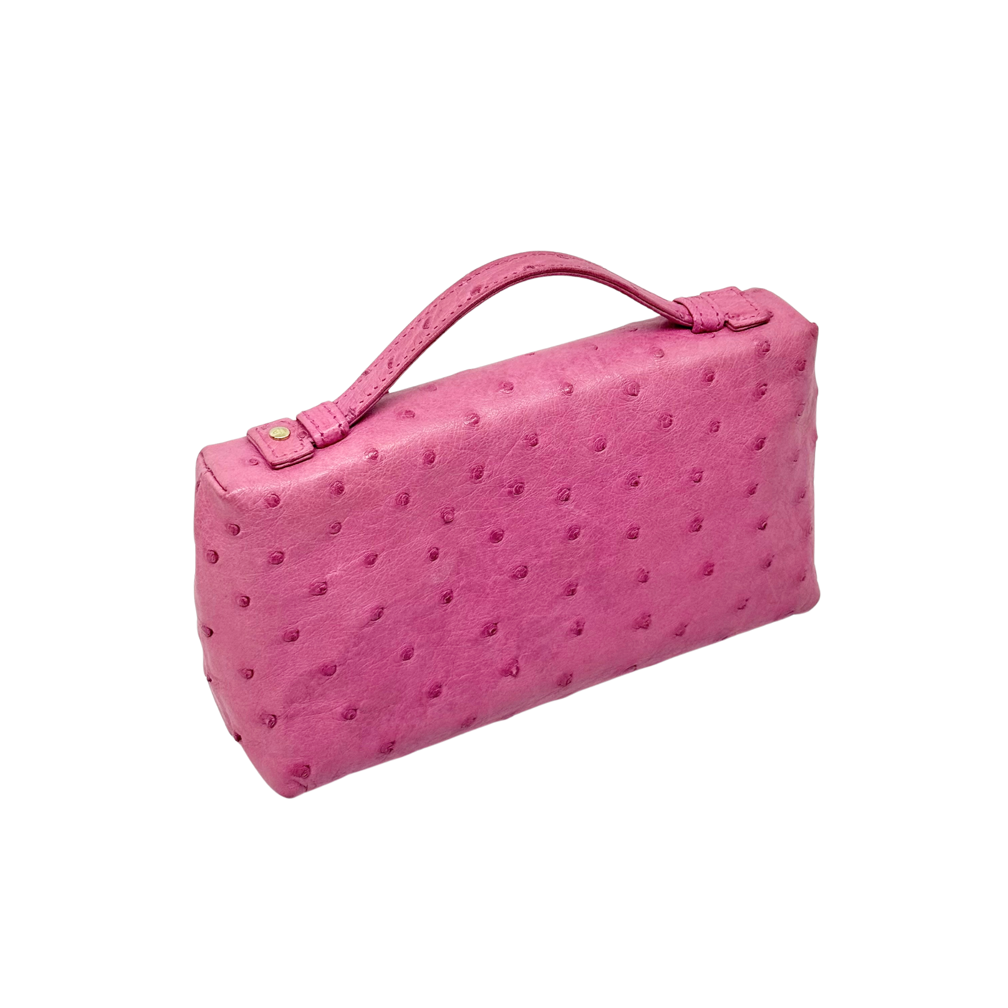 Loro Piana Pink Ostrich L19 Pouch (pre-owned)
