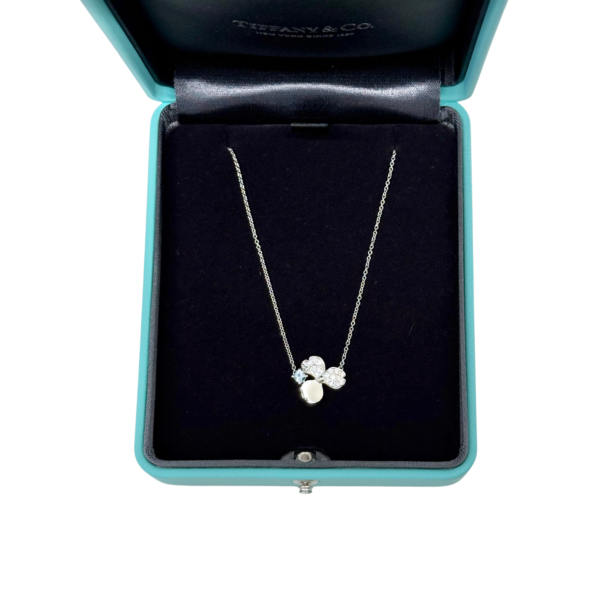 Tiffany & Co. four-leaf clover necklace with silver-tone chain and gemstone pendant in box