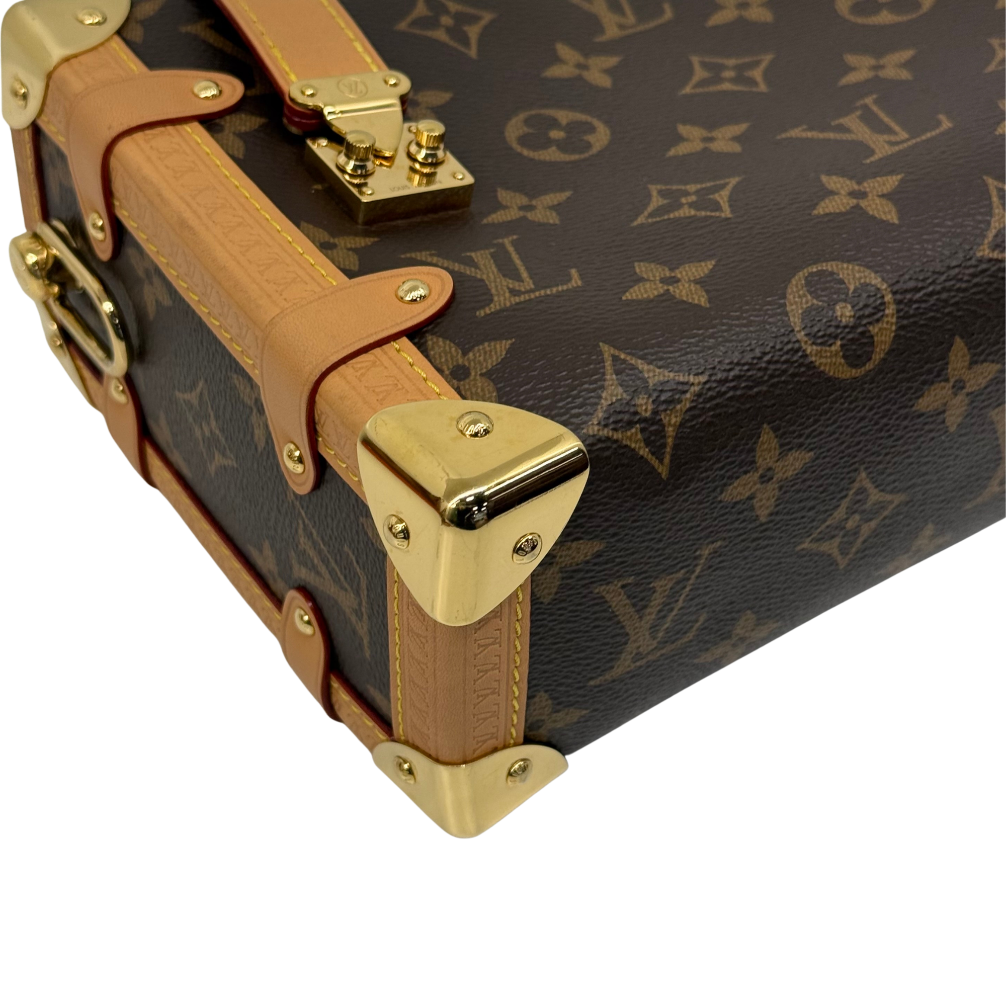 Louis Vuitton monogram mini bag corner details with tan leather strap and gold-tone latch