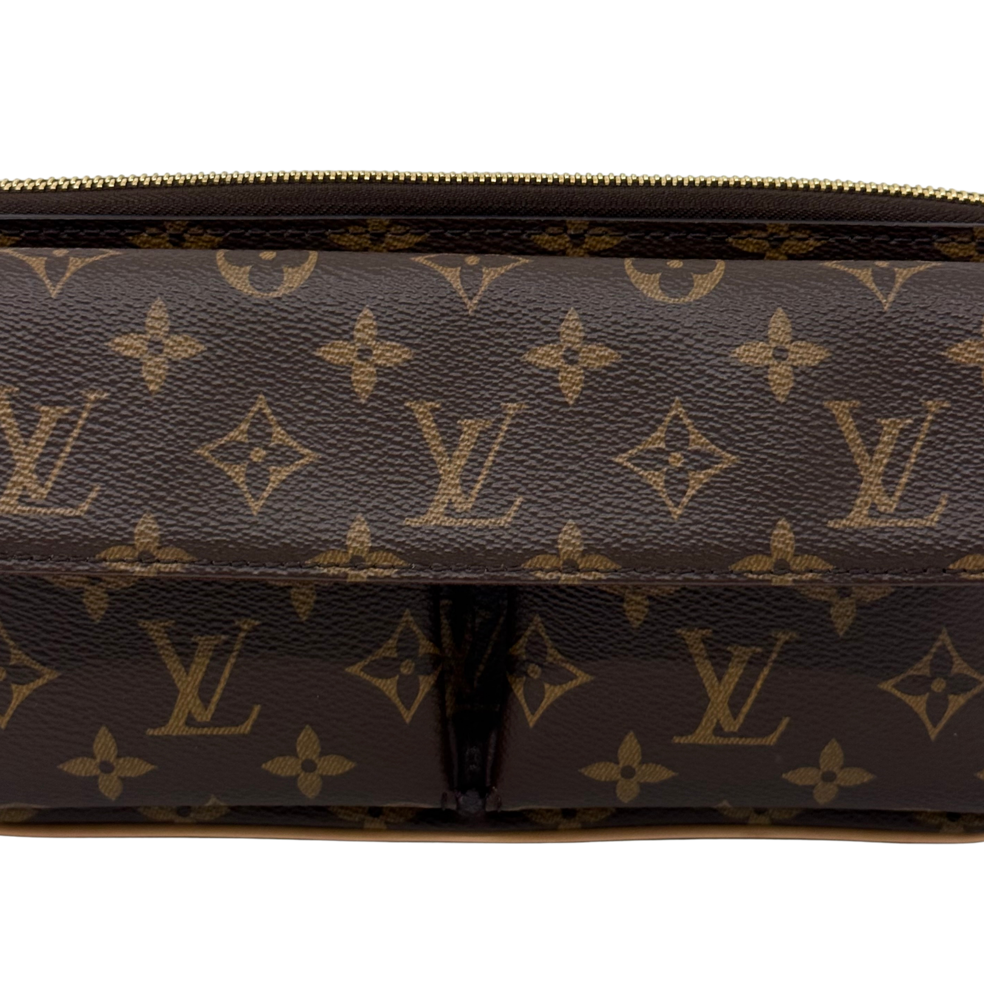 Louis Vuitton Vivacité handbag in Monogram canvas (pre-owned)