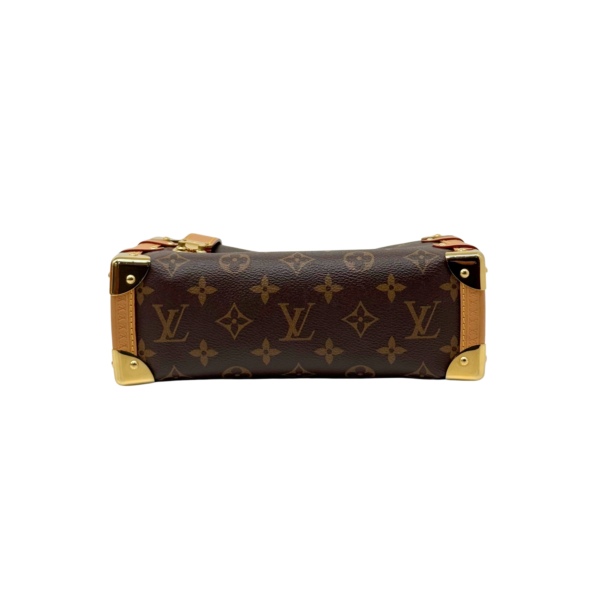 Louis Vuitton monogram mini bag with tan leather sides, gold-tone hardware, and top handles