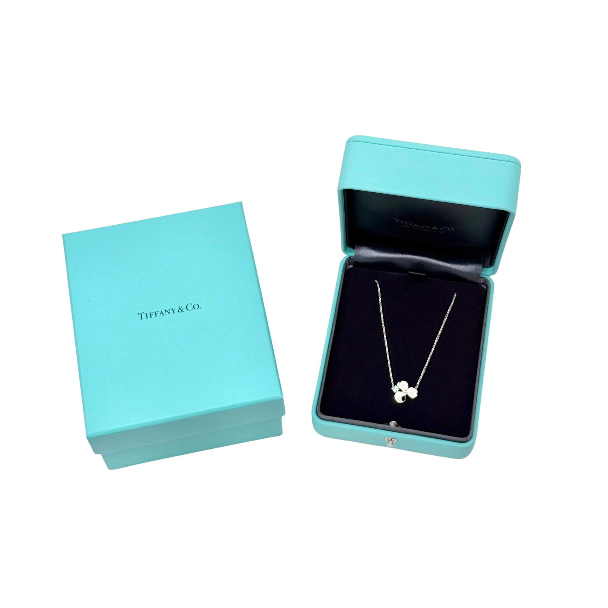 Tiffany & Co. clover gemstone necklace with silver-tone chain shown with gift box and lid