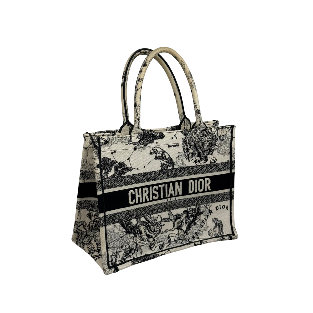 Dior canvas tote bag with top handles and Christian Dior logo stripe graphic
